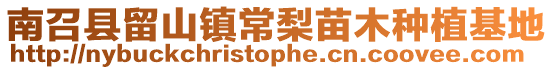南召縣留山鎮(zhèn)常梨苗木種植基地