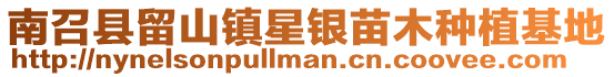 南召縣留山鎮(zhèn)星銀苗木種植基地