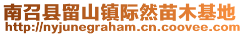南召縣留山鎮(zhèn)際然苗木基地