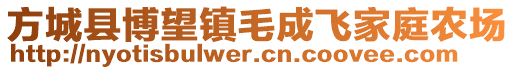 方城县博望镇毛成飞家庭农场