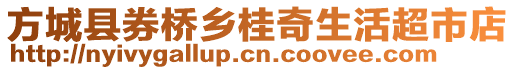 方城縣券橋鄉(xiāng)桂奇生活超市店