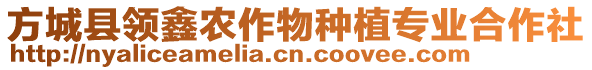 方城縣領鑫農(nóng)作物種植專業(yè)合作社