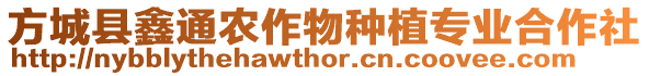 方城縣鑫通農(nóng)作物種植專業(yè)合作社