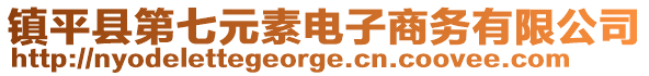 鎮(zhèn)平縣第七元素電子商務(wù)有限公司