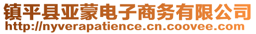 鎮(zhèn)平縣亞蒙電子商務(wù)有限公司