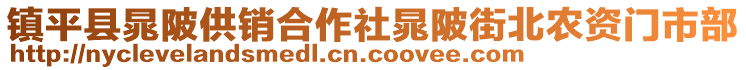 鎮(zhèn)平縣晁陂供銷合作社晁陂街北農資門市部