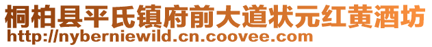 桐柏縣平氏鎮(zhèn)府前大道狀元紅黃酒坊