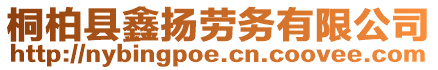 桐柏縣鑫揚(yáng)勞務(wù)有限公司