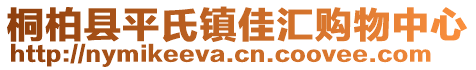 桐柏縣平氏鎮(zhèn)佳匯購物中心