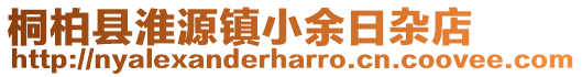 桐柏县淮源镇小余日杂店