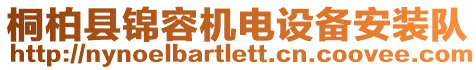 桐柏縣錦容機電設備安裝隊