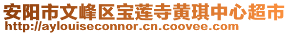 安陽市文峰區(qū)寶蓮寺黃琪中心超市