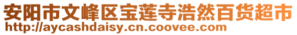 安陽(yáng)市文峰區(qū)寶蓮寺浩然百貨超市