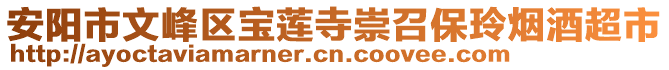 安陽市文峰區(qū)寶蓮寺崇召保玲煙酒超市