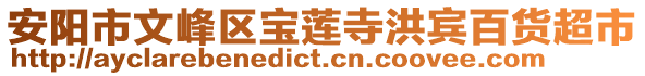 安陽(yáng)市文峰區(qū)寶蓮寺洪賓百貨超市