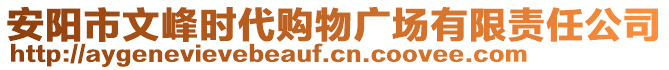 安陽市文峰時代購物廣場有限責任公司