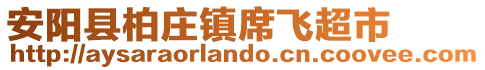 安阳县柏庄镇席飞超市