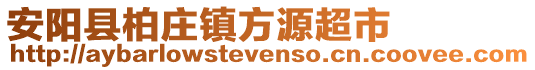 安阳县柏庄镇方源超市