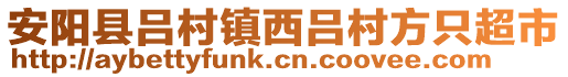 安陽縣呂村鎮(zhèn)西呂村方只超市