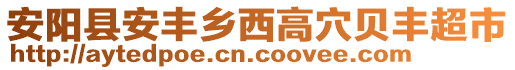 安阳县安丰乡西高穴贝丰超市