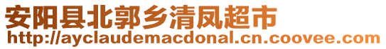 安阳县北郭乡清凤超市