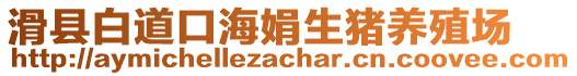 滑縣白道口海娟生豬養(yǎng)殖場