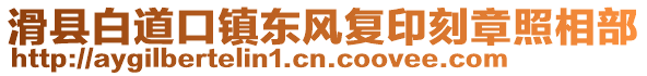 滑縣白道口鎮(zhèn)東風(fēng)復(fù)印刻章照相部