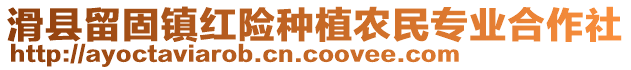 滑縣留固鎮(zhèn)紅險(xiǎn)種植農(nóng)民專業(yè)合作社