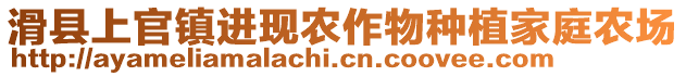 滑县上官镇进现农作物种植家庭农场