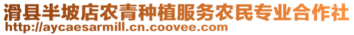 滑縣半坡店農(nóng)青種植服務(wù)農(nóng)民專業(yè)合作社