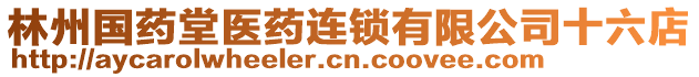 林州國(guó)藥堂醫(yī)藥連鎖有限公司十六店