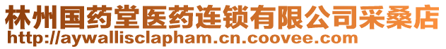 林州國(guó)藥堂醫(yī)藥連鎖有限公司采桑店