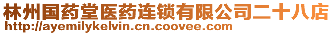 林州國藥堂醫藥連鎖有限公司二十八店