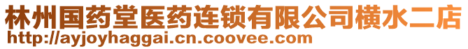 林州國藥堂醫藥連鎖有限公司橫水二店
