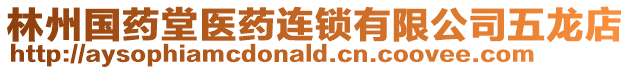 林州國藥堂醫藥連鎖有限公司五龍店