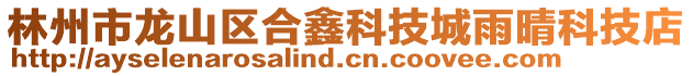 林州市龍山區(qū)合鑫科技城雨晴科技店