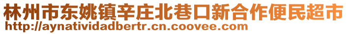 林州市東姚鎮辛莊北巷口新合作便民超市