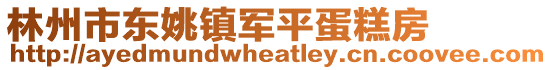 林州市東姚鎮軍平蛋糕房