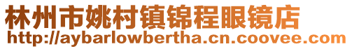 林州市姚村鎮(zhèn)錦程眼鏡店