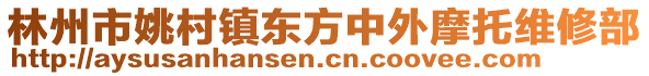 林州市姚村鎮(zhèn)東方中外摩托維修部