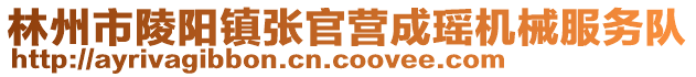 林州市陵陽(yáng)鎮(zhèn)張官營(yíng)成瑤機(jī)械服務(wù)隊(duì)