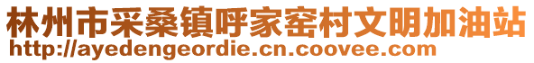 林州市采桑鎮(zhèn)呼家窯村文明加油站