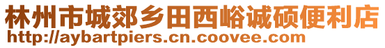 林州市城郊鄉(xiāng)田西峪誠碩便利店