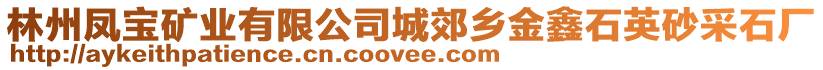 林州鳳寶礦業(yè)有限公司城郊鄉(xiāng)金鑫石英砂采石廠