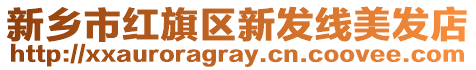 新鄉(xiāng)市紅旗區(qū)新發(fā)線美發(fā)店