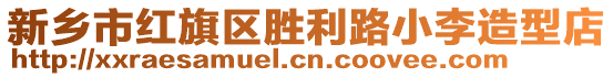 新鄉(xiāng)市紅旗區(qū)勝利路小李造型店