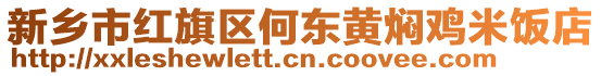 新鄉(xiāng)市紅旗區(qū)何東黃燜雞米飯店