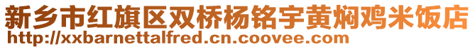 新鄉(xiāng)市紅旗區(qū)雙橋楊銘宇黃燜雞米飯店