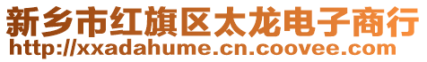 新鄉市紅旗區太龍電子商行
