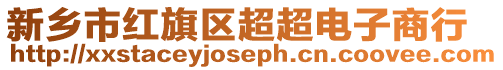 新鄉市紅旗區超超電子商行
